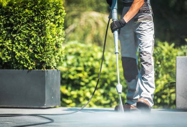 Best Pre-Holiday Cleaning  in Moosup, CT